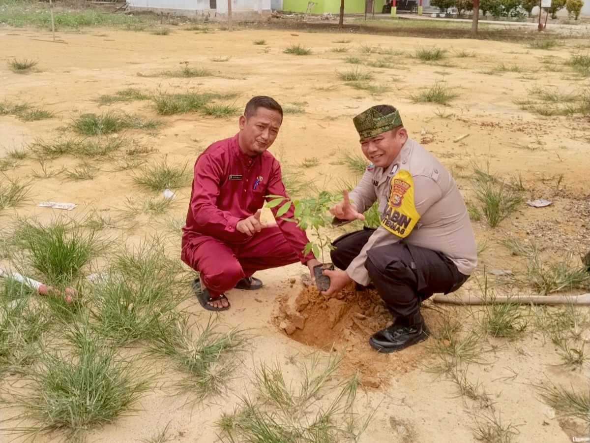 Green Policing Masuk Kampung, Polsek Rimba Melintang Tanam Mahoni Bersama Warga