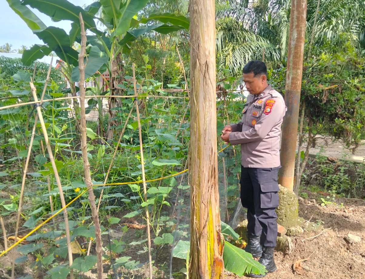 Perkuat Swasembada Pangan, Polisi Sambang Petani di Sungai Manasib Rohil
