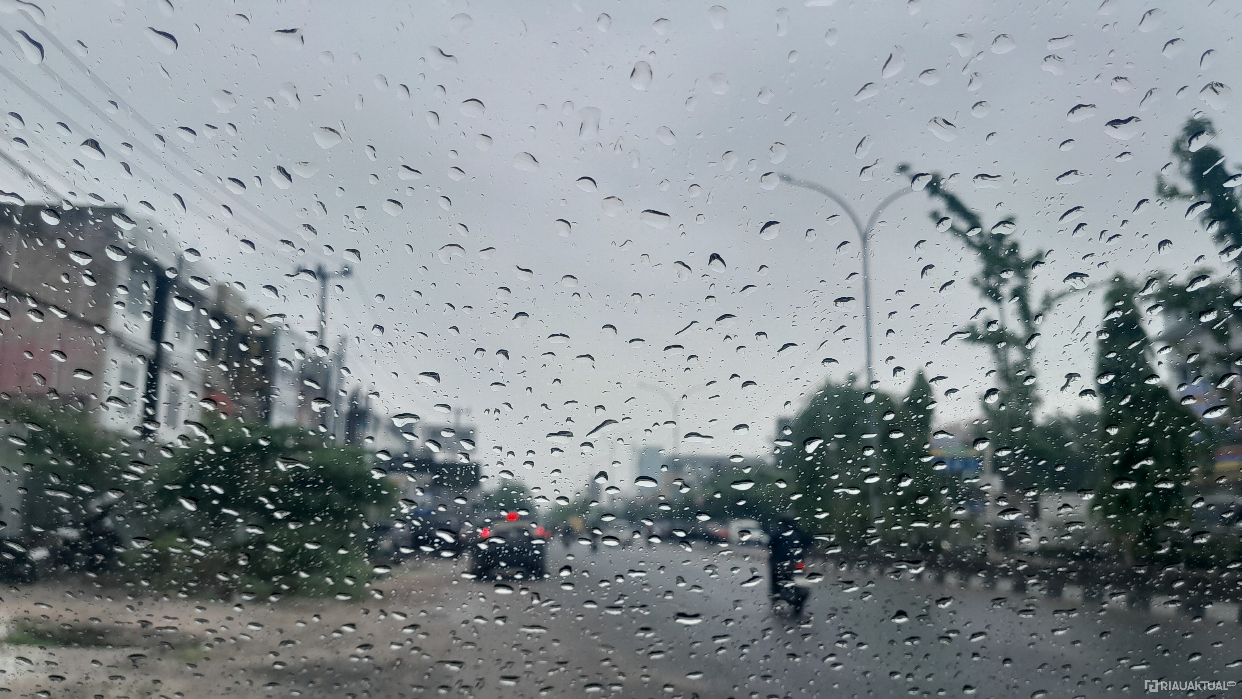 BMKG: Hujan Berpotensi Guyur Sejumlah Wilayah di Riau, Waspada Petir dan Angin Kencang