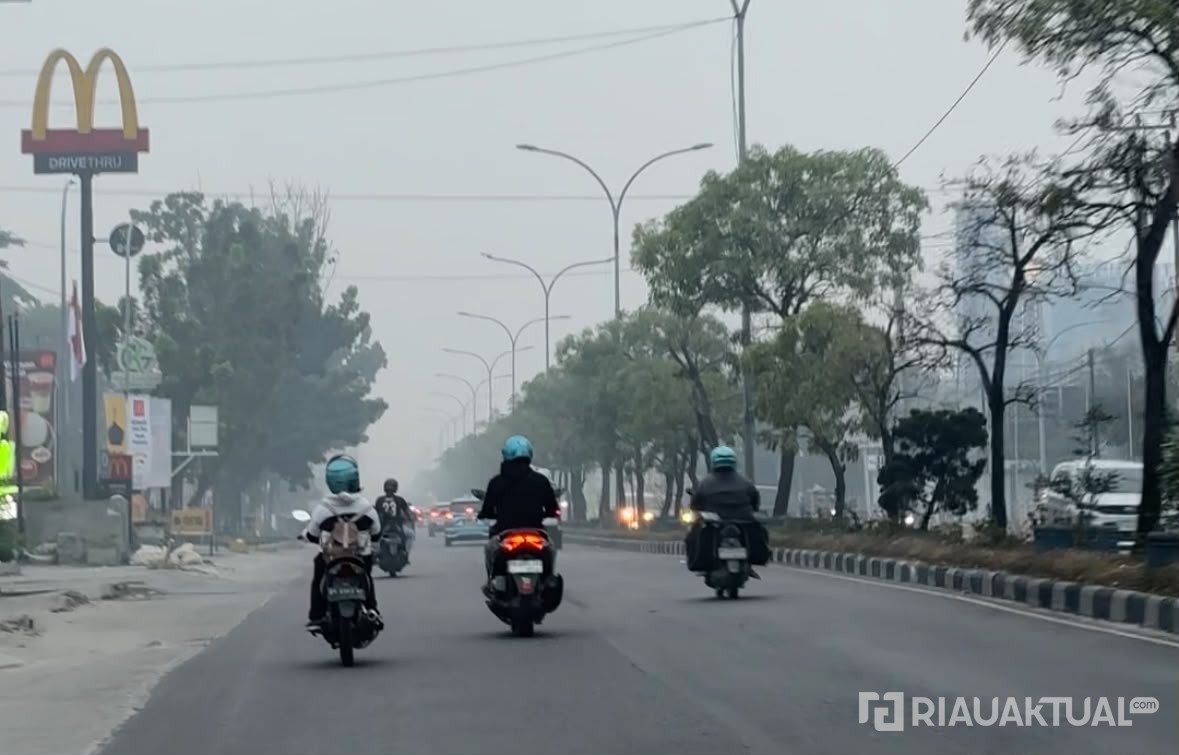 Kualitas Udara Pekanbaru Mulai Membaik Usia Diguyur Hujan, tapi Masih di Level Tidak Sehat