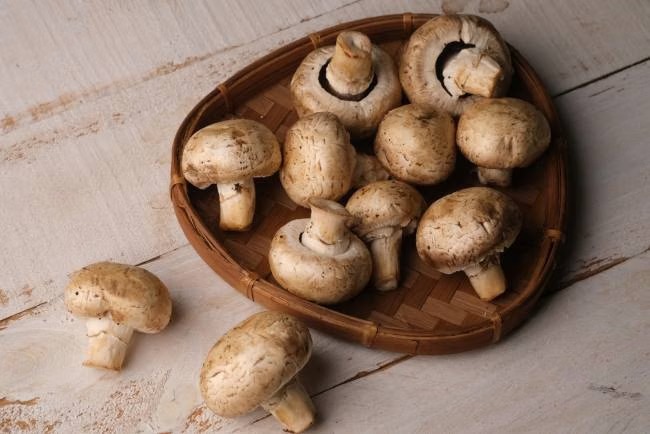 Mitos atau Fakta: Jamur Kancing Penyebab Asam Urat?