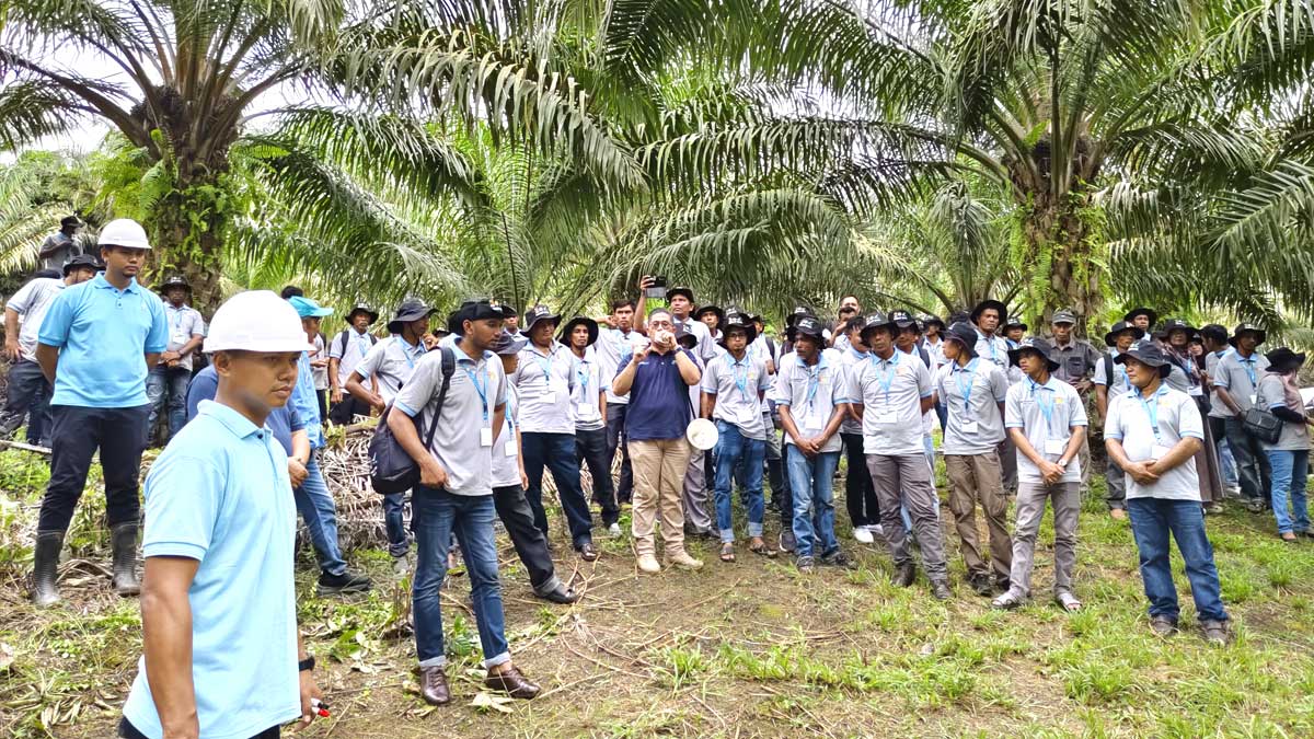 Pusat Perkebunan Berkelanjutan Setara Indonesia Lolos Program BPDP 2026, Siap Genjot Pelatihan SDM Sawit