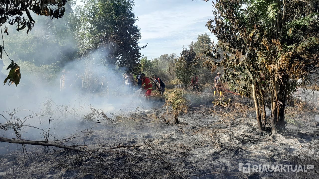 Membara, 207 Titik Panas Terdeteksi di Riau Jumat Sore 