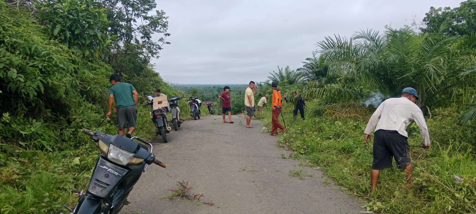 Bersihkan Lingkungan, Pemdes Pulau Busuk Jaya Gelar Padat Karya Tunai