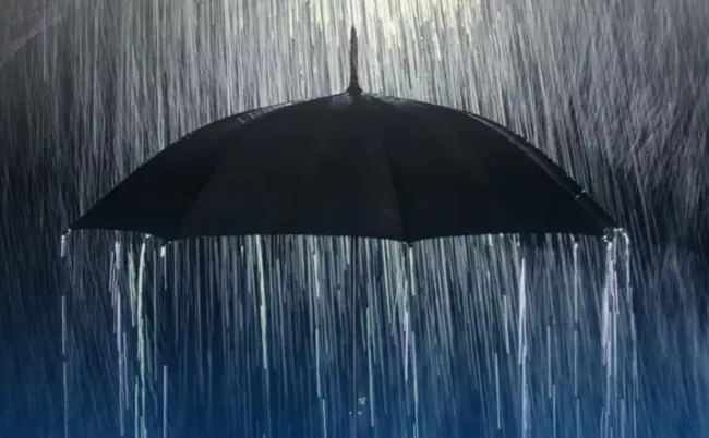 Sudah 5 Ton Garam Disemai Guna Pencegahan Karhutla di Riau