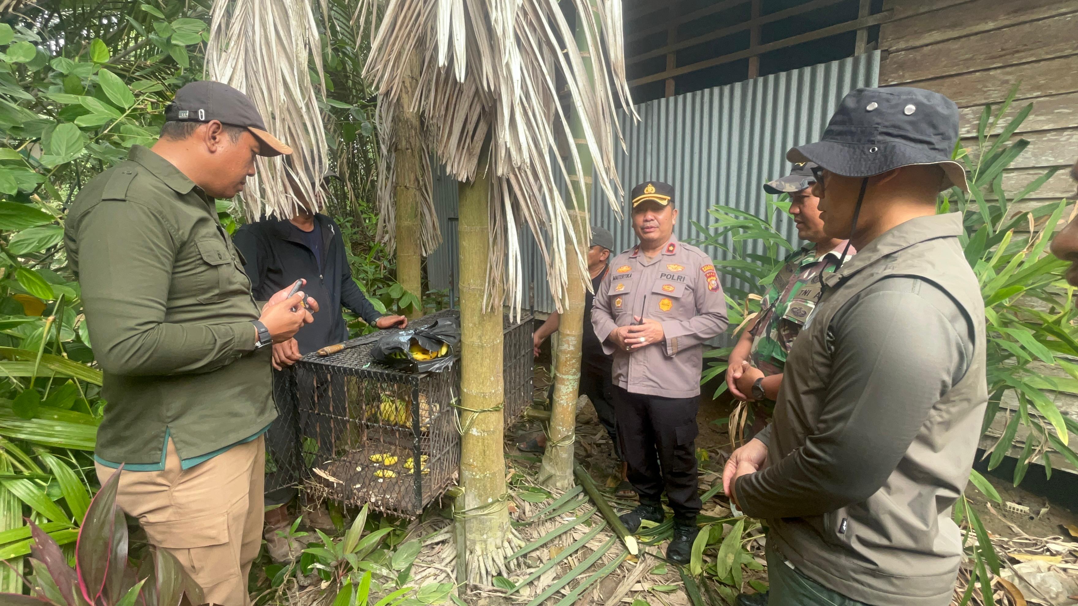 BBKSDA Riau: Monyet Liar yang Teror Warga Tembilahan Diduga Jenis Ekor Panjang, Korban Bertambah Jadi 19 Orang