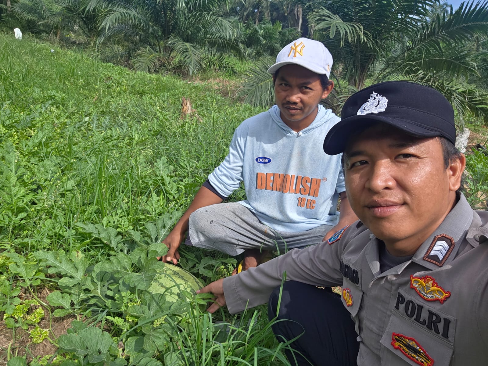 Polisi di Rohil Turun Langsung ke Lahan Petani Beri Dukungan Ketahanan Pangan