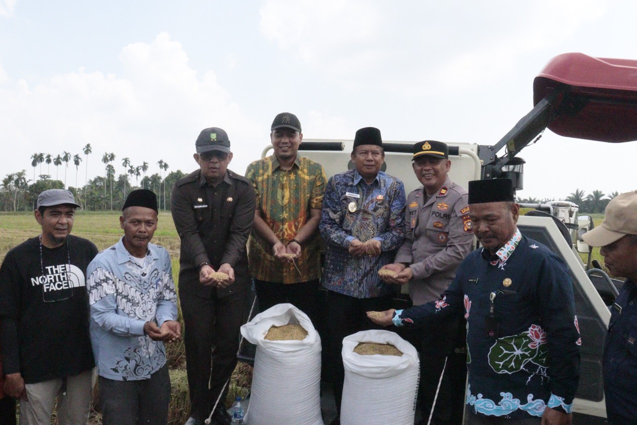 Bupati Inhu Turun ke Sawah, Uji Langsung Combine Harvester Saat Panen Raya