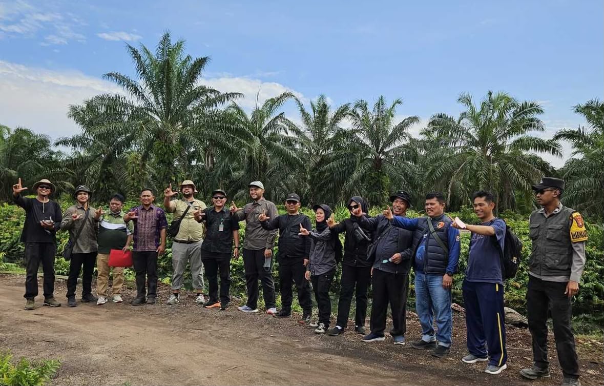 PN Bengkalis Jatuhi Hukuman PT MMJ Tebang Sawit 13.415 Hektar di Rupat