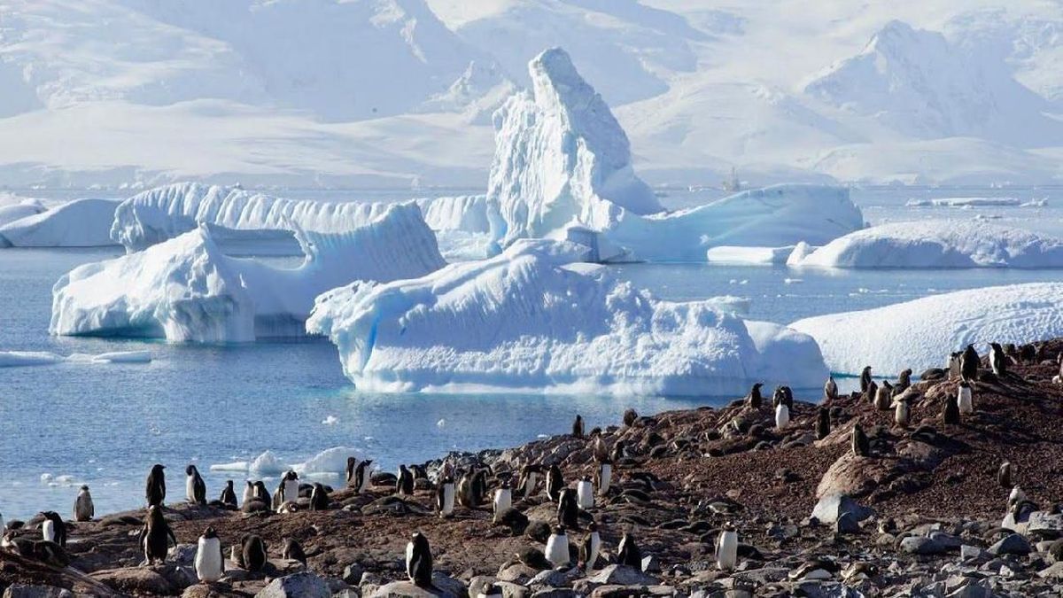 Bumi Makin Panas, Studi 58 Ilmuwan Ungkap 12 Triliun Ton Es Greenland-Antartika Lenyap