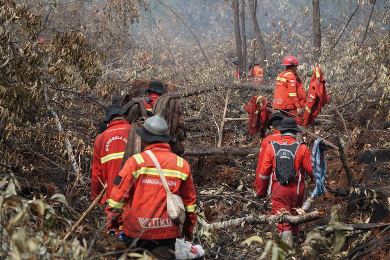 Karhutla Hanguskan 108 Hektare Lahan di Rupat Bengkalis
