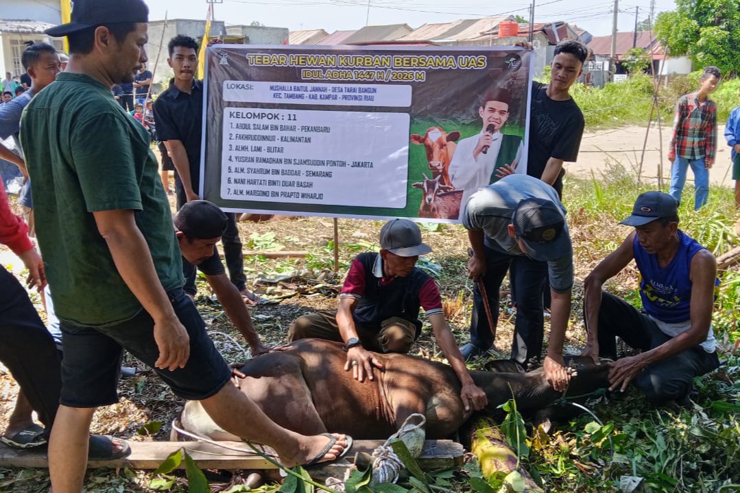 Musala Baitul Jannah Terima Hewan Kurban dari YTWU, Satu Sapi dan Dua Kambing