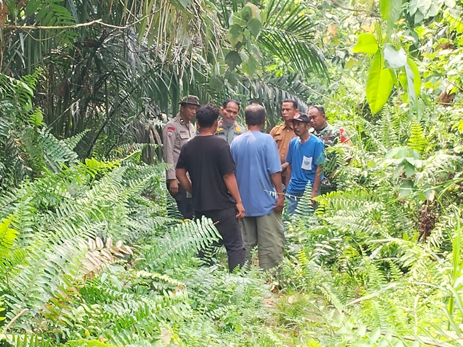 Heboh Harimau Muncul di Pasir Putih Kampar, BBKSDA Riau Pastikan Hoaks