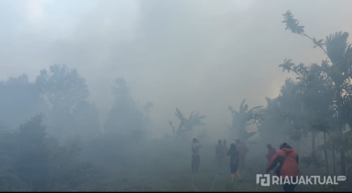 Diselimuti Kabut Asap, Kualitas Udara Pekanbaru Tak Sehat