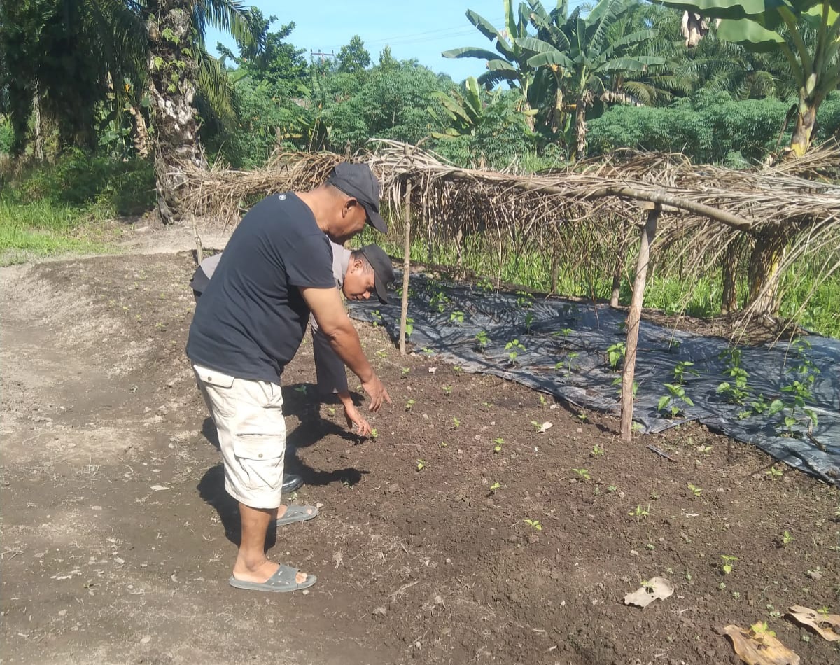 Dukung Swasembada Pangan, Polisi di Rohil Intens Sambangi Petani