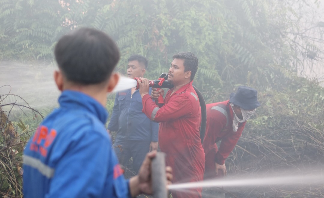 Intensitas Kebakaran Lahan di Pekanbaru Meningkat, 64,8 Hektar Hangus 