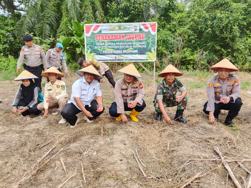 Asta Cita Presiden, Polsek Rimba Melintang Sulap 2 Hektare Lahan Jadi Kebun Jagung
