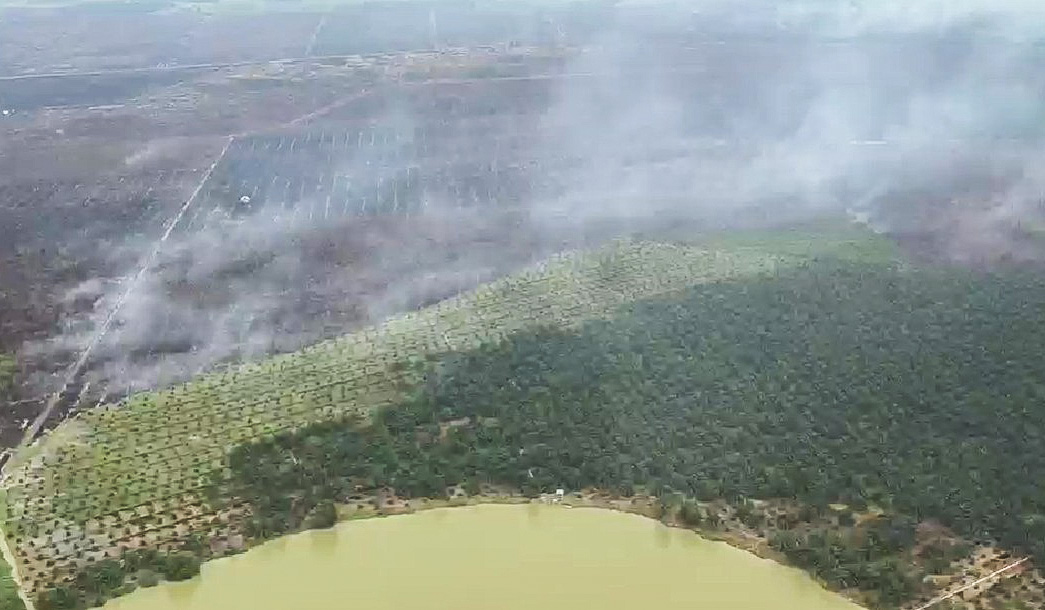292 Titik Panas Terdeteksi di Riau, Peluang Hujan Minim 