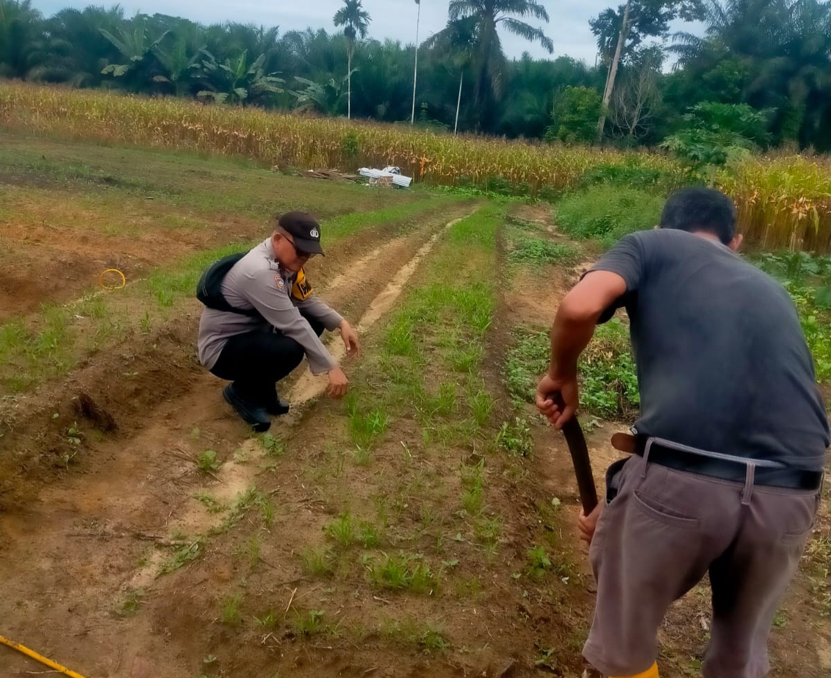 Polisi Cinta Petani Terus Digencarkan, Bhabinkamtibmas Datangi Kebun Warga di Rohil
