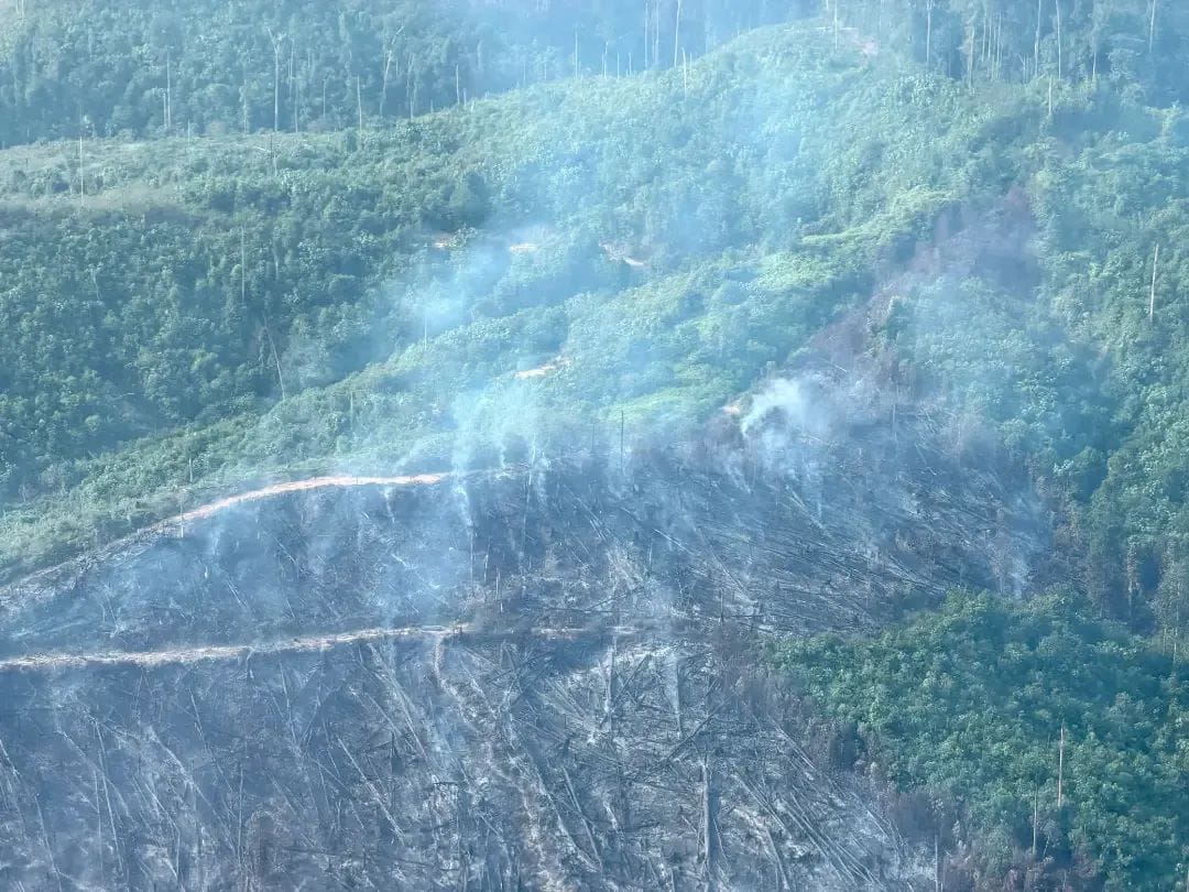 Hotspot Riau Melonjak Jadi 97 Titik, Pelalawan Sumbang 71 Titik