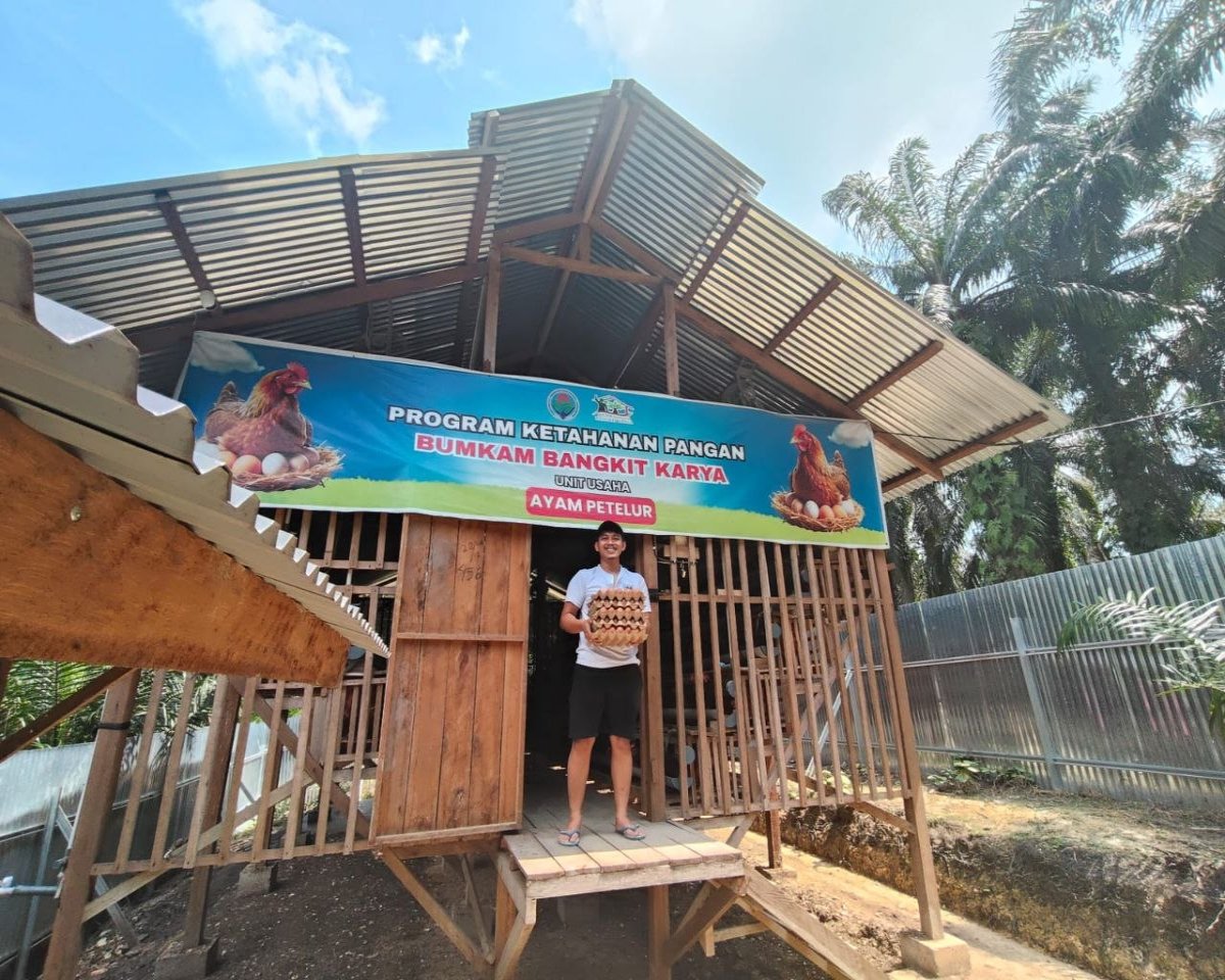 Usaha Ayam Petelur BUMKam Bangkit Karya Capai 80 Persen Produksi, Dorong PAK Kerinci Kanan