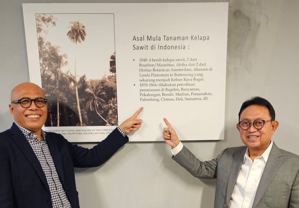Palembang Dalam Jejak 115 Tahun Sawit Indonesia