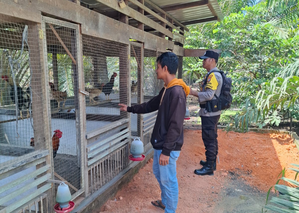 Polisi di Rohil Data Ketahanan Pangan Warga, Fokus pada Peternak Ayam Petelur