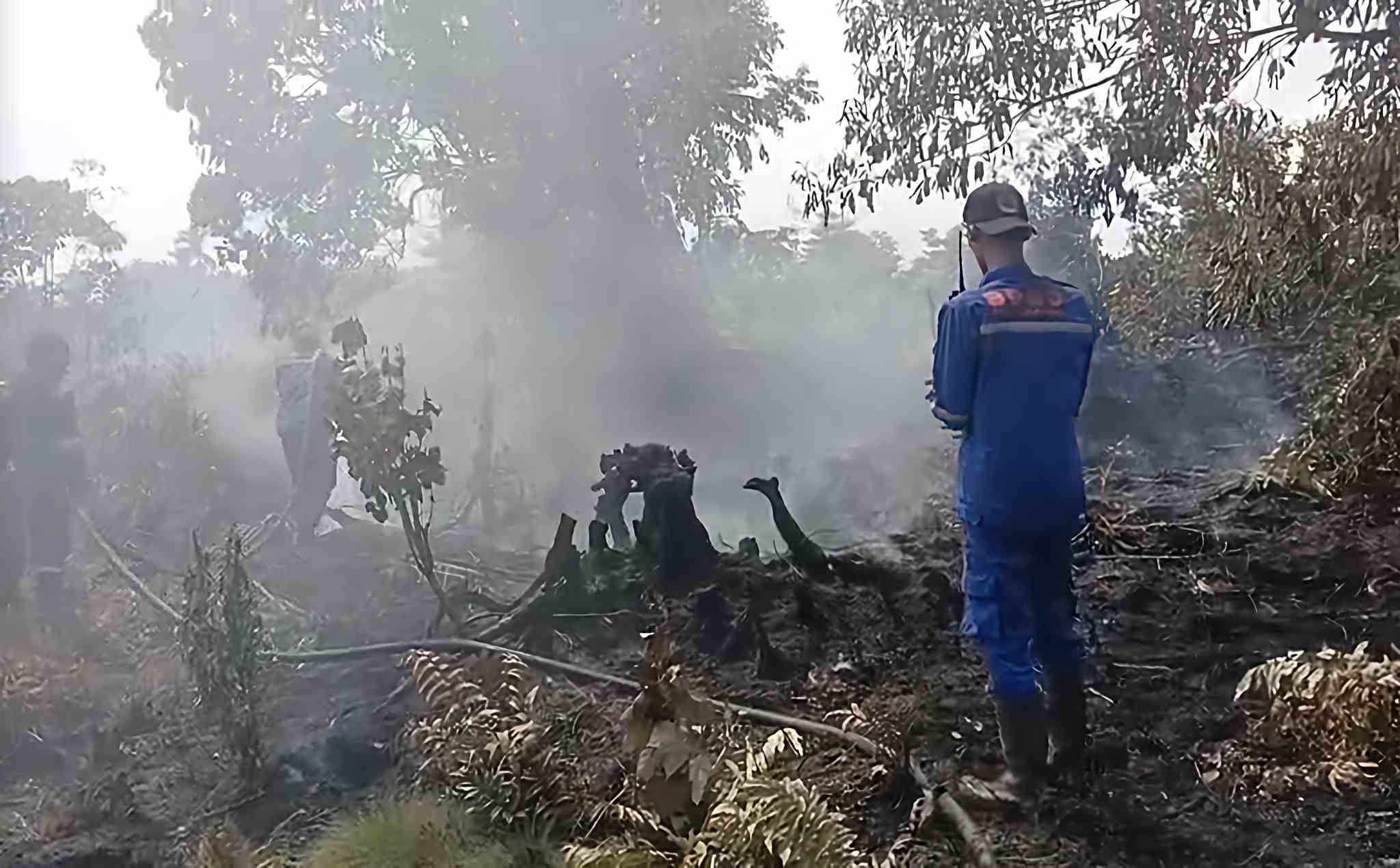 Kebakaran Lahan di Pekanbaru Capai 43,6 Hektar, 90 Petugas BPBD Monitor Wilayah Rawan 