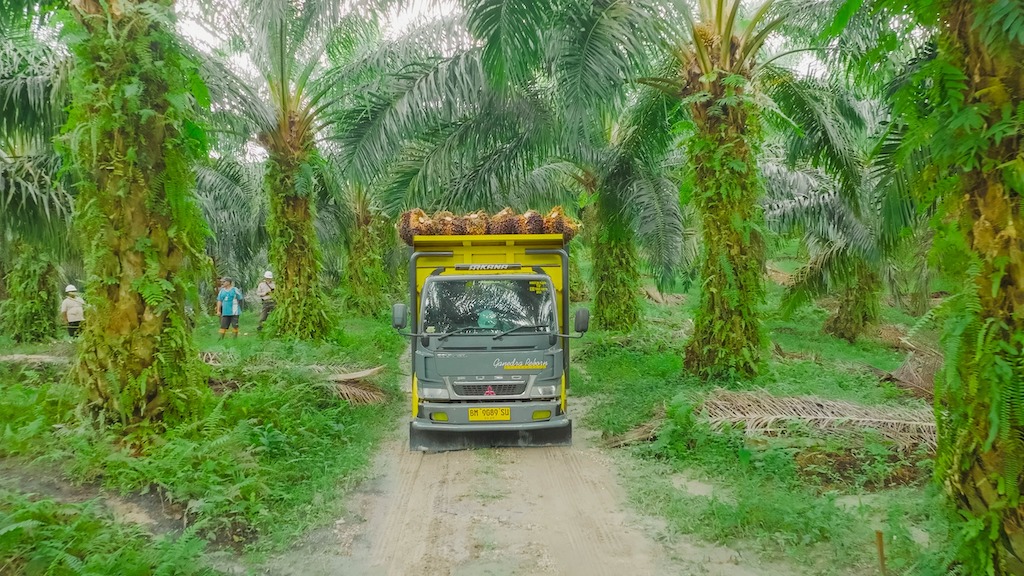 Kemitraan PTPN IV PalmCo di Rokan Hulu Lampaui Kewajiban