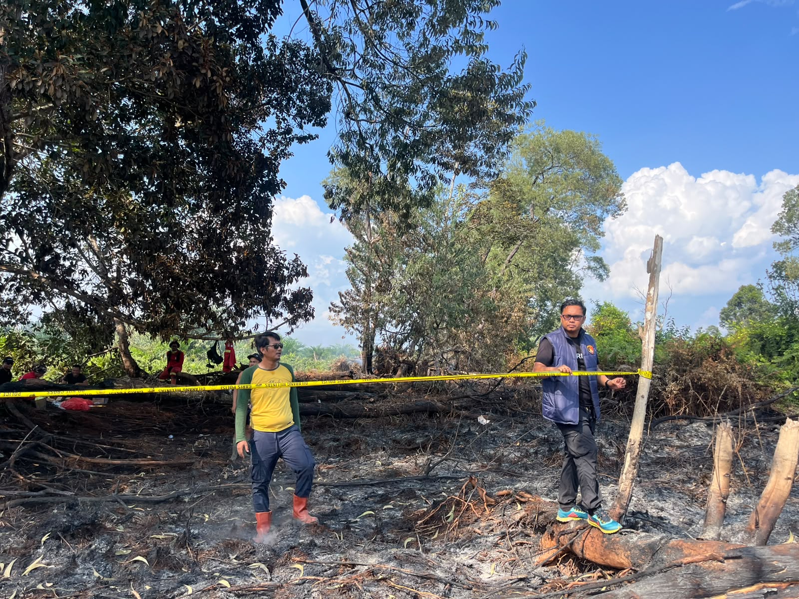 Buka Kebun Sawit dengan Cara Dibakar, Pria di Pelalawan Ditangkap Polisi