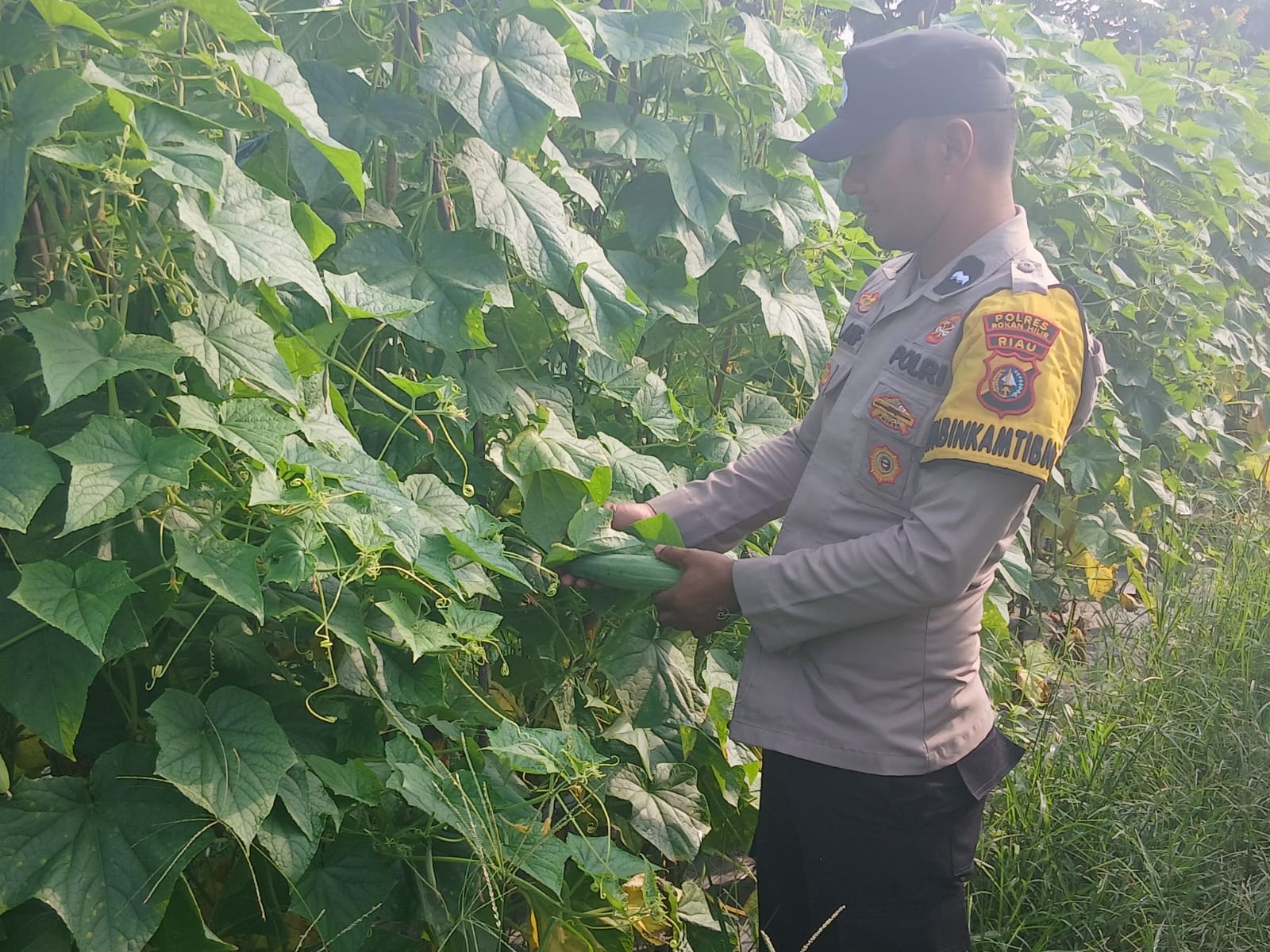 Dukung Asta Cita Presiden, Polisi Bangko Pusako Aktif Dampingi Petani