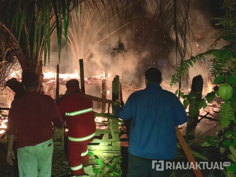 Api Unggun Hanguskan Puluhan Ternak di Kuantan Hilir