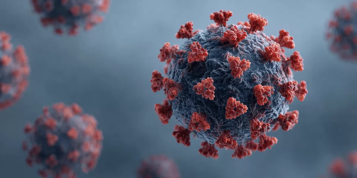 Apa Itu Virus Shamonda, Berbahayakah bagi Manusia?