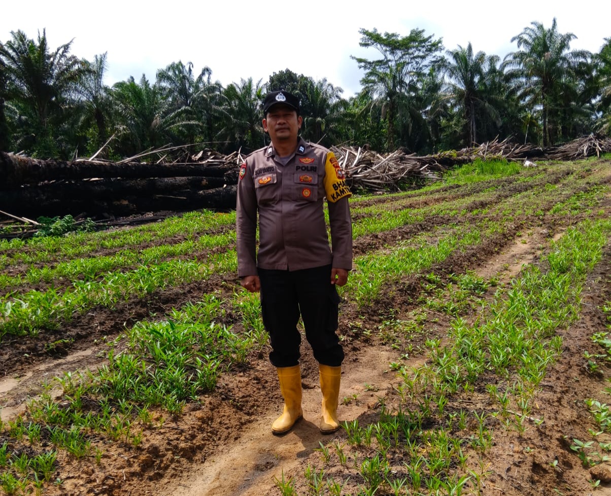 Dukung Asta Cita Presiden, Polisi di Rohil Turun ke Lahan Pertanian Warga 