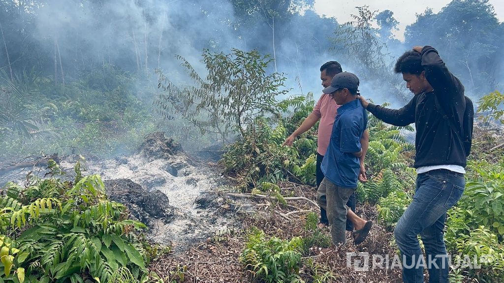 Polres Bengkalis Tangkap Pelaku Pembakaran Lahan di Pedekik