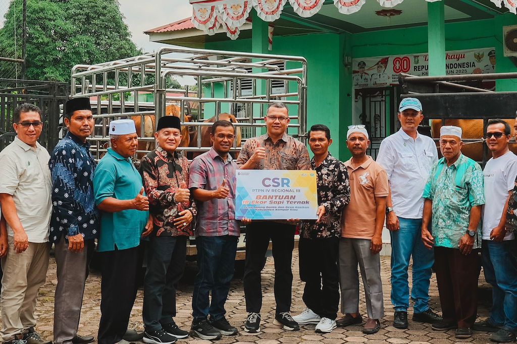 PTPN IV Salurkan 20 Sapi ke Kampar, Dorong Ekonomi Desa dan Ketahanan Pangan