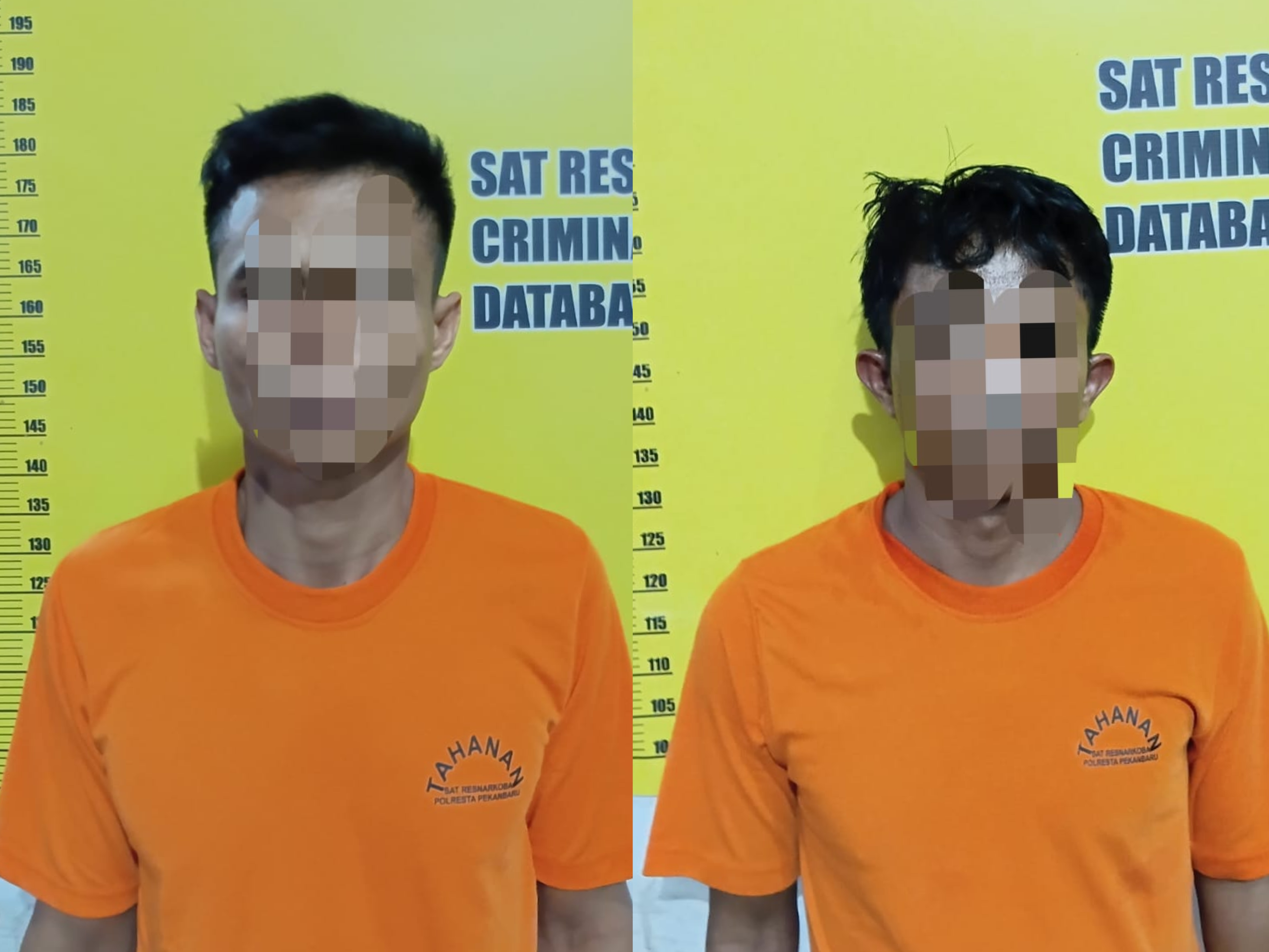 Polisi Ringkus Dua Pengedar Sabu di Pekanbaru, 11,35 Gram Narkoba Diamankan