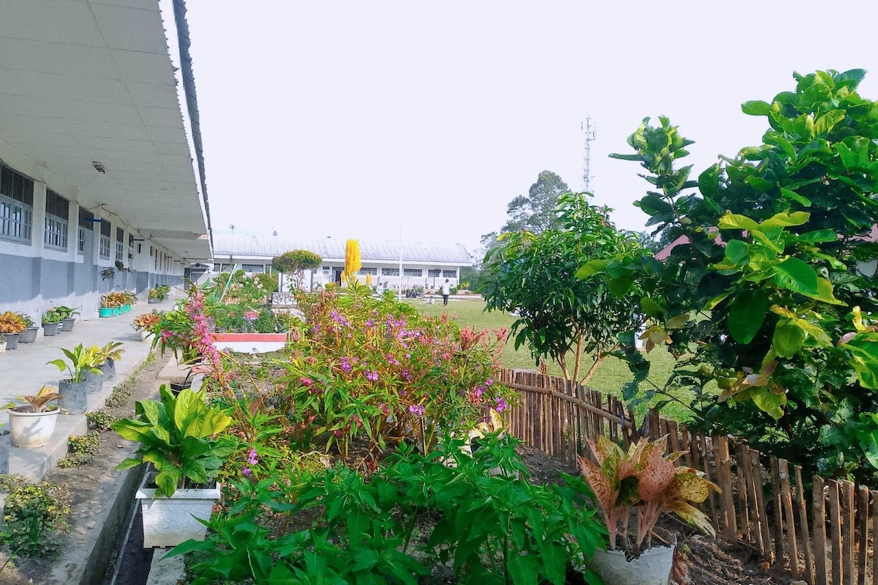 Ketika Pohon, Tanah, dan Sungai Menjadi Guru Biologi Menyemai Pedagogi Hijau di Sekolah