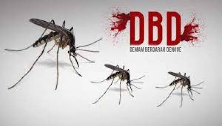 DBD di Pekanbaru Capai 534 Kasus, 1 Warga Meninggal Dunia 