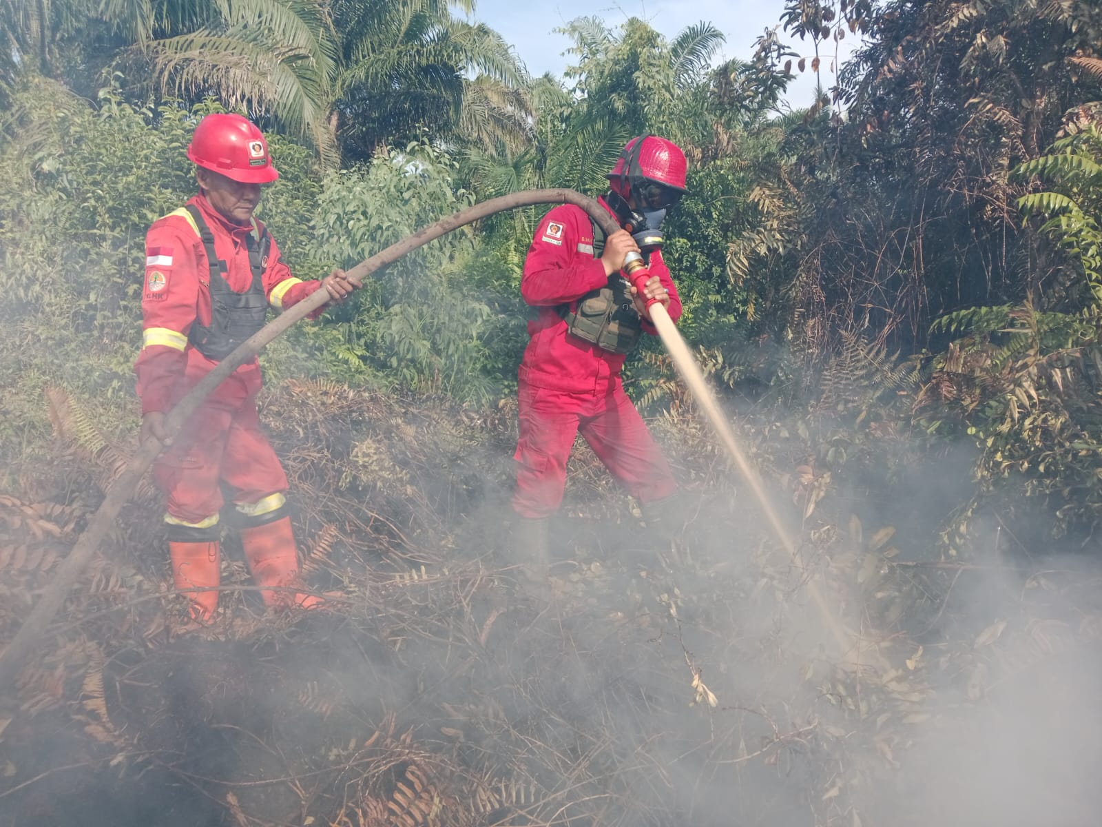 Api Karhutla di Rupat Masih Aktif, Manggala Agni Datangkan Personel dari Jambi
