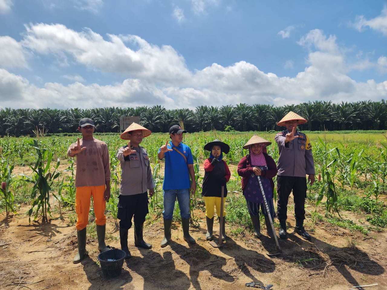 Dukung Program Asta Cita, Polsek Bangko Pusako Rawat Tanaman Jagung Pipil