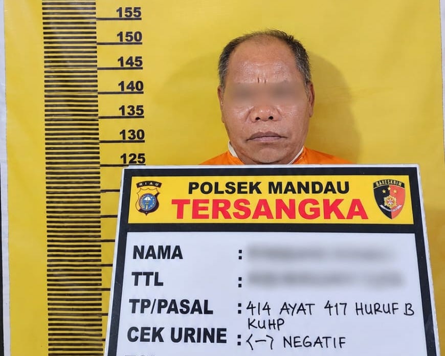 Diduga Cabuli Anak Perempuan di Lapo Tuak, Pria di Bengkalis Ditangkap