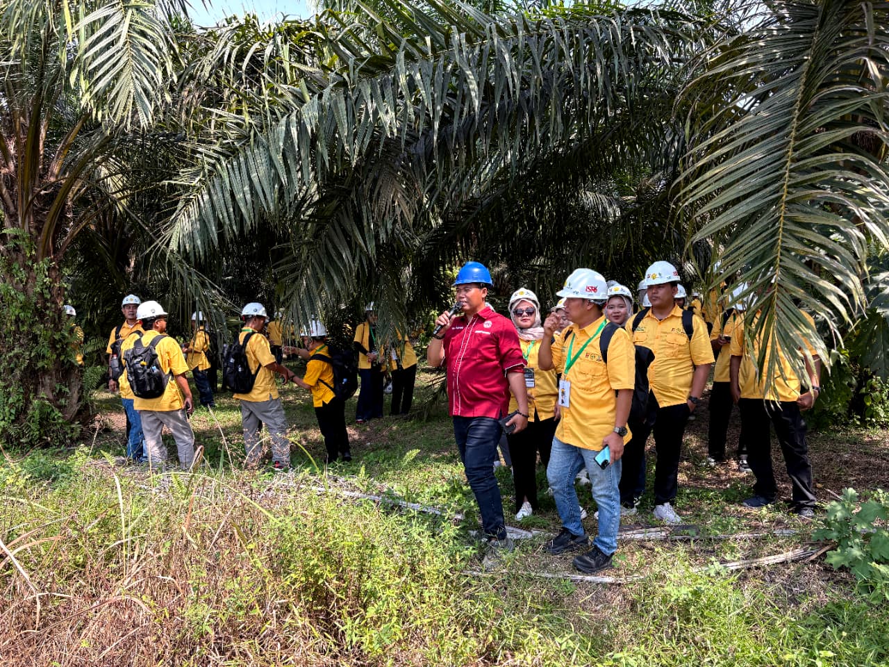 Kejar Produktivitas Sawit Rakyat, Pekebun di Riau Dibekali Ilmu dan Praktik ISPO