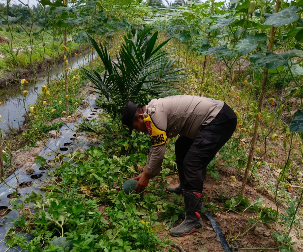 Polisi di Rohil Sambangi Petani di Bangko Kanan, Dorong Ketahanan Pangan