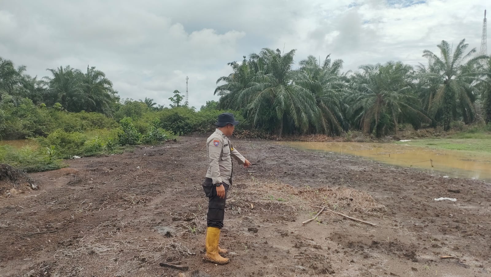 Polsek Rimba Melintang Cek Perkembangan Ketahanan Pangan di Rohil