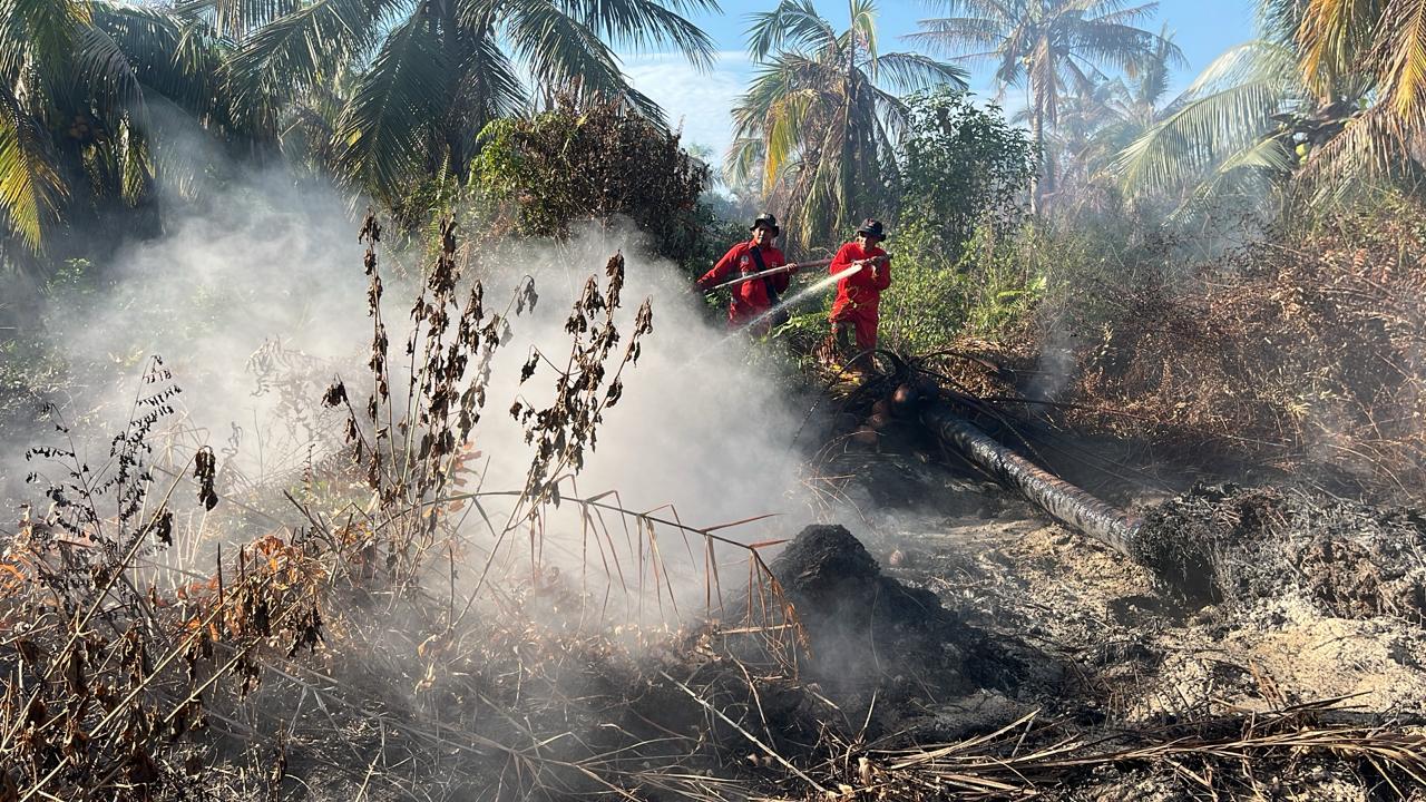 Sudah Tiga Hari Manggala Agni Lakukan Padamkan Karhutla di Rohil dan Siak