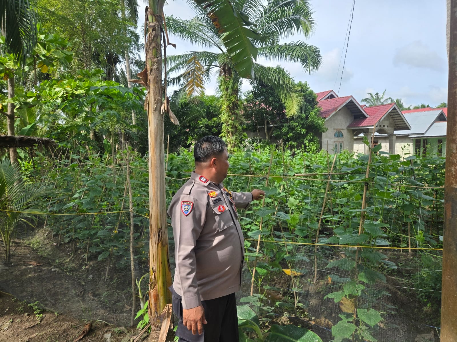 Dukung Swasembada Pangan, Polisi Sambang Petani Timun di Kepenghuluan Pematang Ibul
