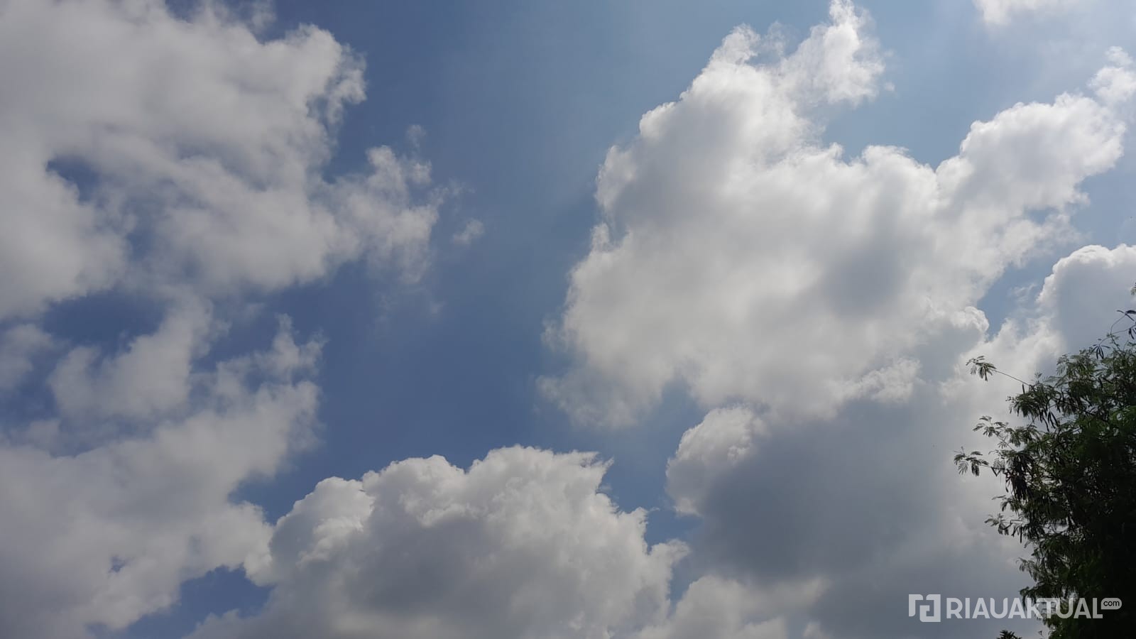 Cuaca Riau Didominasi Cerah Berawan, Waspada Hujan Disertai Petir di Wilayah Pesisir 