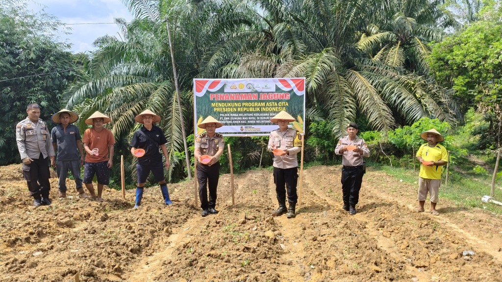 Dukung Asta Cita, Polsek Rimba Melintang Tanam Jagung Bersama PT Gunung Mas Raya