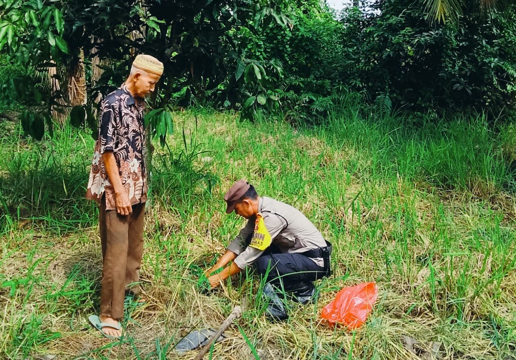 Green Policing, Bhabinkamtibmas Polsek Rimba Melintang Tanam Bibit Rambutan dan Alpukat